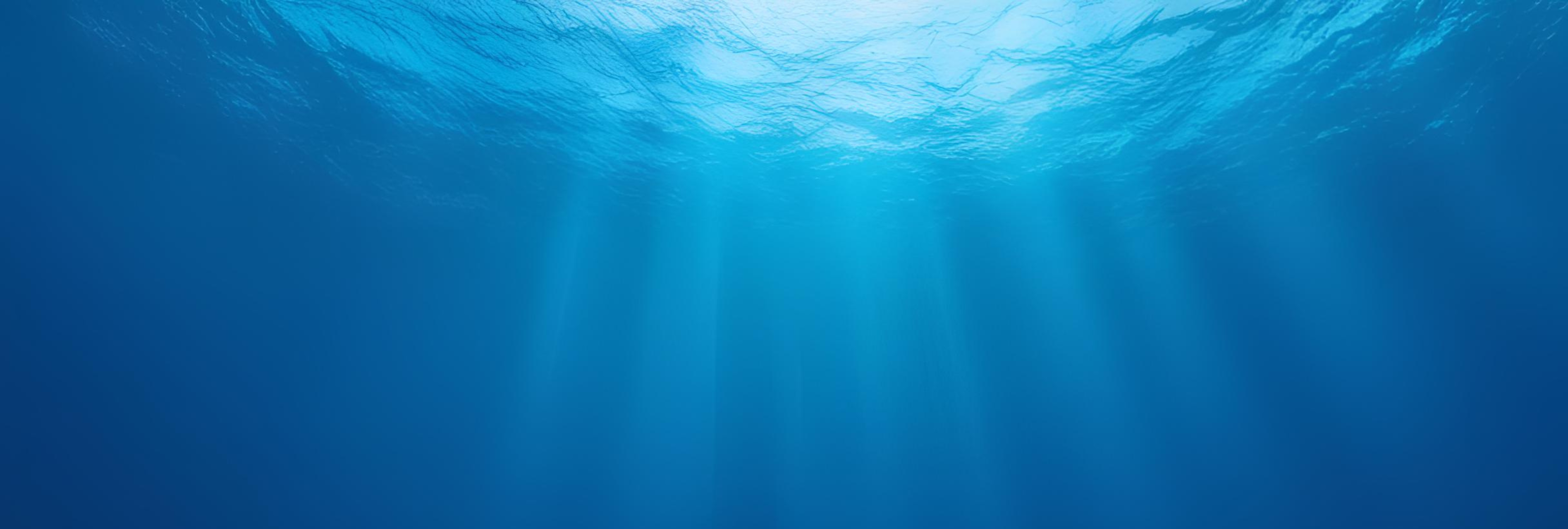 Freediving Depth Training Image